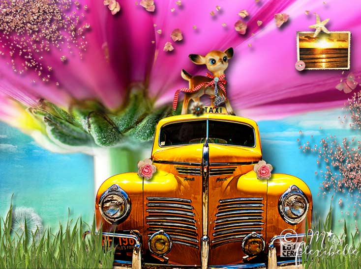 Miss_Flexibelle_Photoshop1